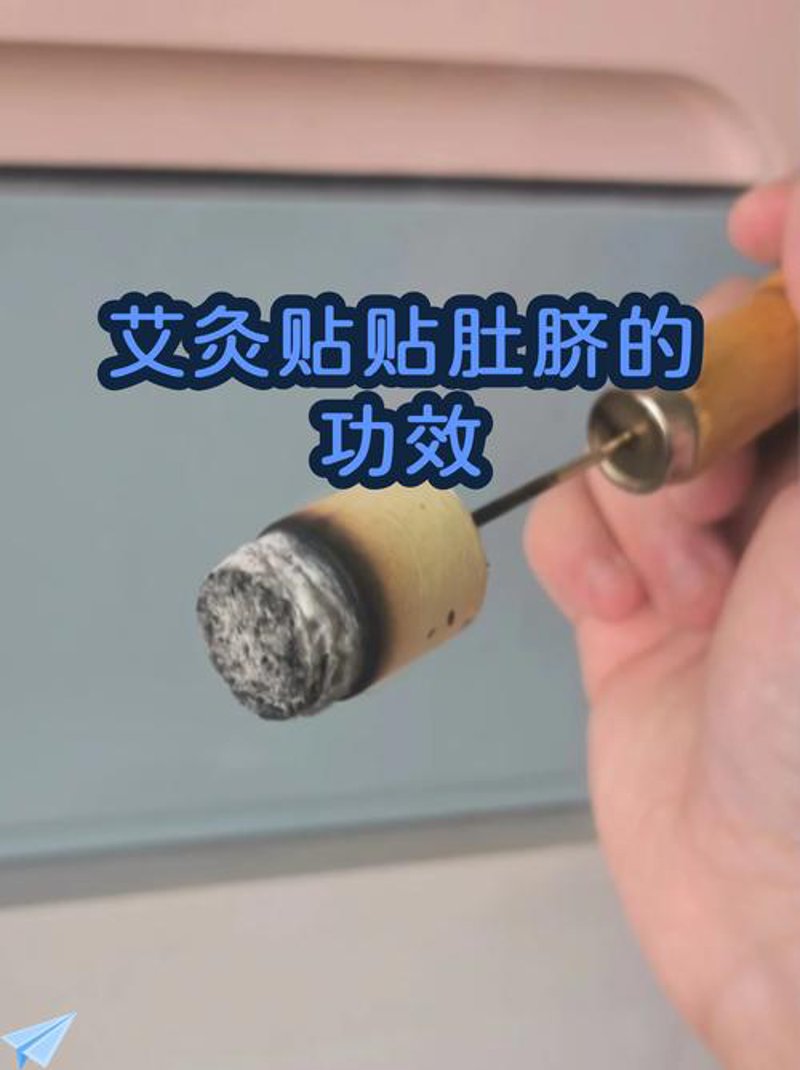 艾草种植技巧：探索蕲艾的独特魅力
